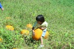 resIMG_20141004_130802_3390.JPG